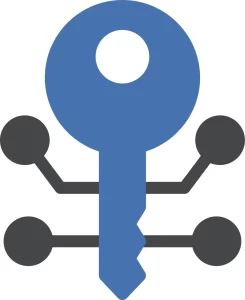 Key icon referencing site security