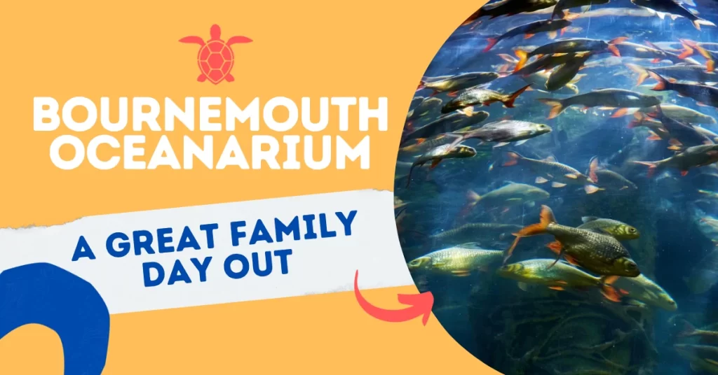 Bournemouth Oceanarium - A Great Family Day Out.