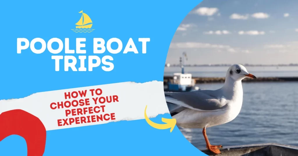 Poole Boat Trips - How to choose your perfect experience.
